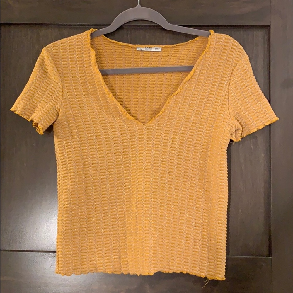 Zara Sparkly V-Neck Top